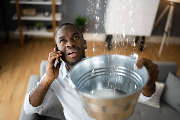 Best Professional water damage repair  in Verona, MS