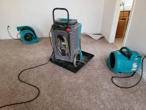 Best Residential water damage restoration  in Verona, MS