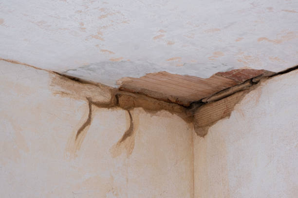 Best Flood restoration services  in Verona, MS
