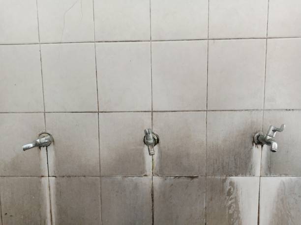 Best Water damage restoration near me  in Verona, MS