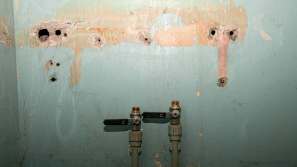  Verona, MS Water damage restoration Pros