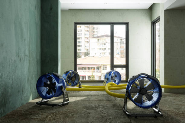 Best 24/7 water damage repair  in Verona, MS