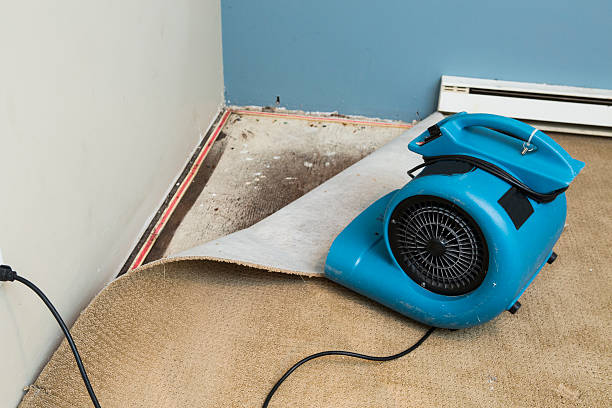 Best Mold removal after water damage  in Verona, MS